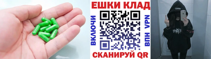 omg как зайти  Елец  Экстази TESLA 