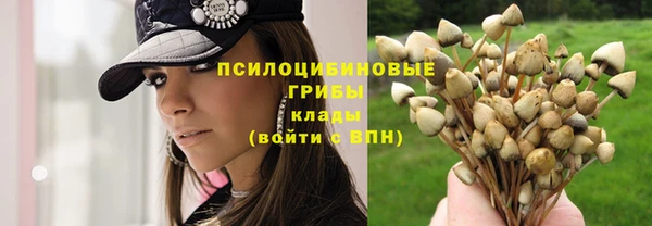 таблы Волосово