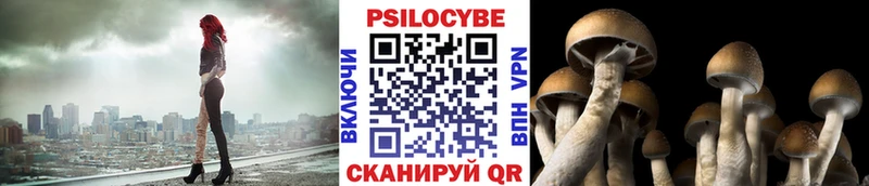 darknet формула  Елец  Псилоцибиновые грибы мицелий 